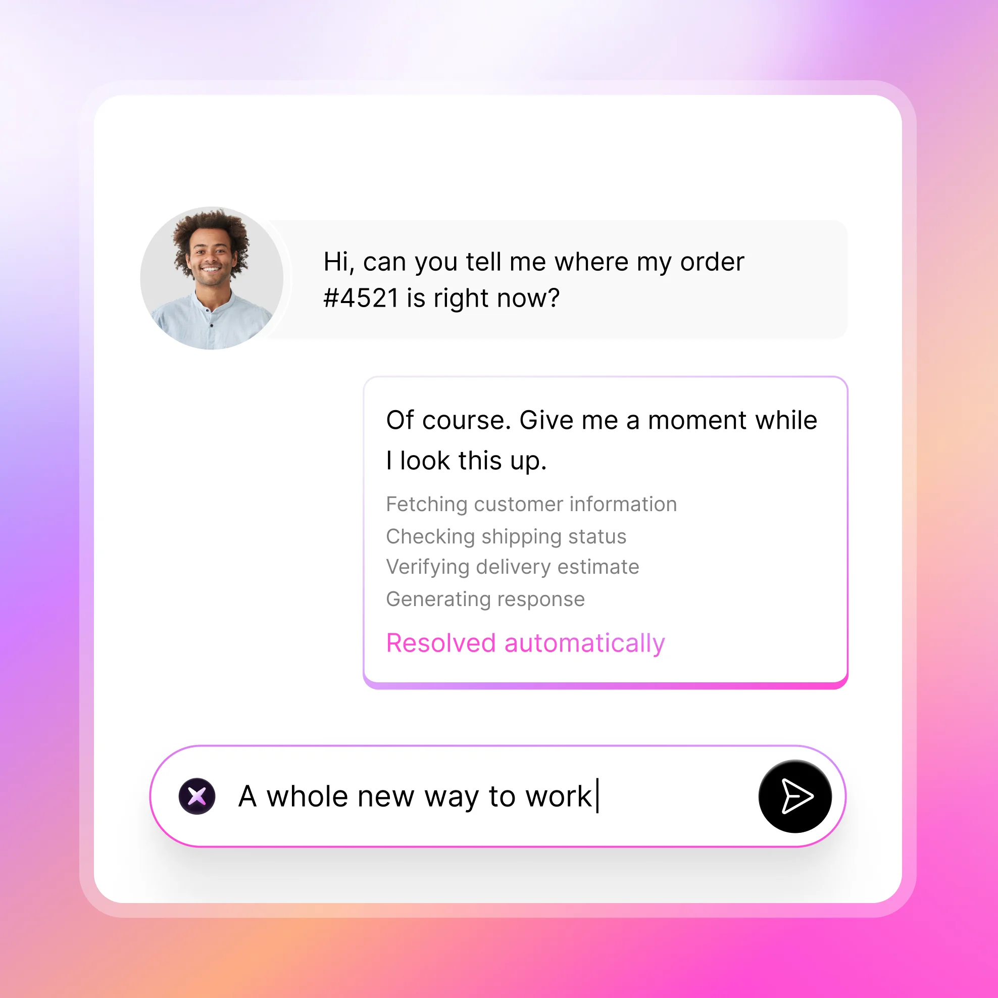 Automated customer chat resolution interface